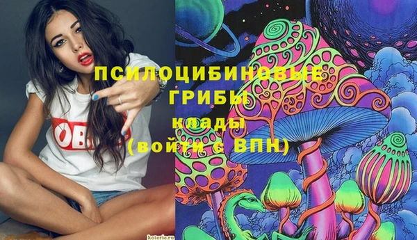 mdpv Алексин