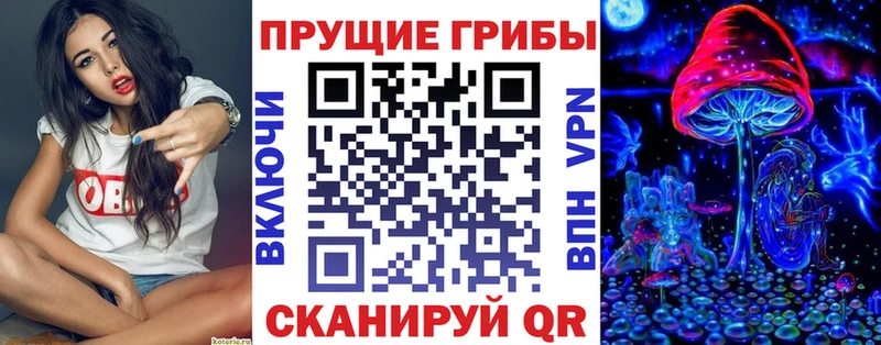 Галлюциногенные грибы Psilocybe  где купить наркоту  Михайловск 